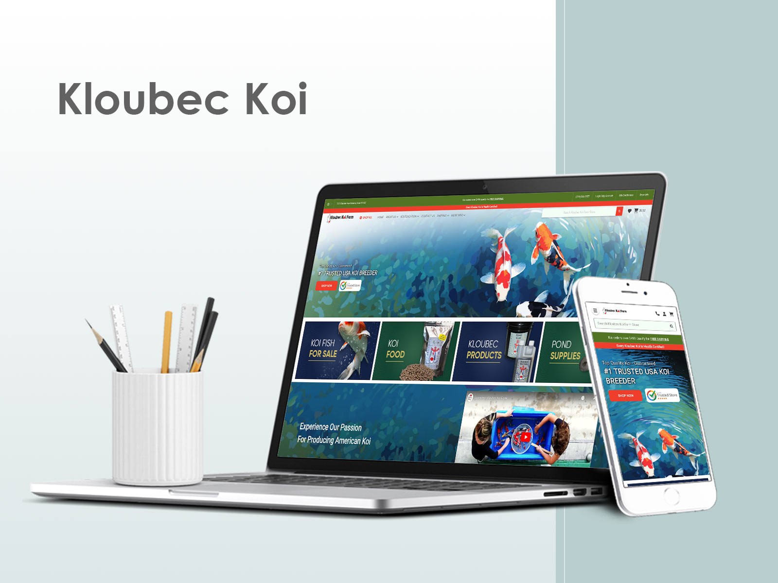 Kloubec Koi Web & Mobile Mock Up